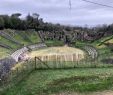 Table Jardin Bois Luxe Amphitheatre De Saintes Tripadvisor