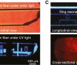 Table Terrasse Beau the Femtosecond Laser Induced Photochemistry In Silver