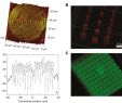 Table Terrasse Frais the Femtosecond Laser Induced Photochemistry In Silver