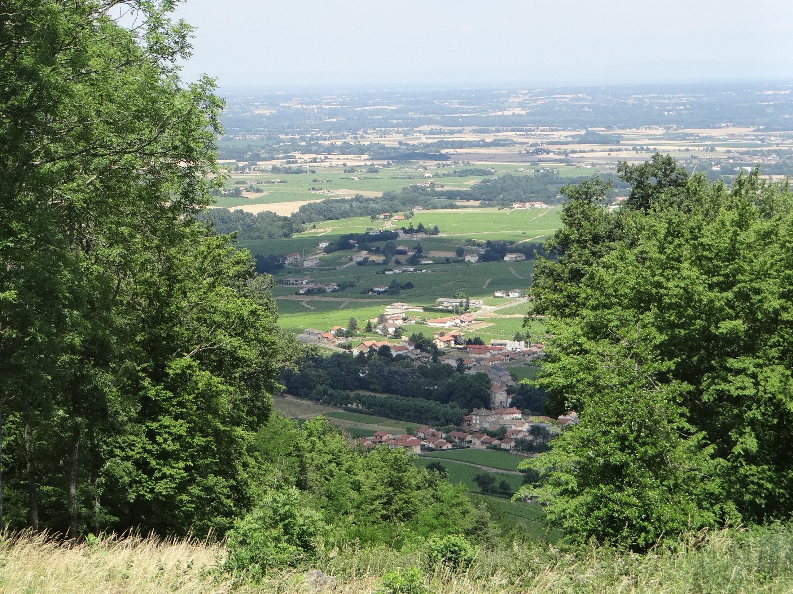 la paine de la saone