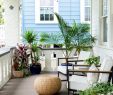 Tante De Jardin Frais A Remodeled Charleston House Goes From Dilapidated to