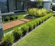 Tante De Jardin Inspirant 30 Best Modern Backyard Gardening Ideas You Ll Love