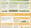Tarif Entretien Jardin Auto Entrepreneur Génial 51 Best Lawn Care Business Images