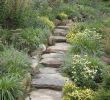 Terrassement Jardin En Pente Beau Aménager Une Allée De Jardin En Pente Quelles sont Les