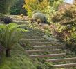 Terrassement Jardin En Pente Frais Ment Réussir Un Aménagement Terrain En Pente