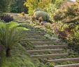 Terrassement Jardin En Pente Frais Ment Réussir Un Aménagement Terrain En Pente