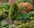 Terrassement Jardin En Pente Inspirant Un Jardin En Pente Agencer Et Aménager Un Jardin En Pente