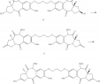 Tonnelle Aluminium Unique Us B2 Pyrrolobenzodiazepines and Conjugates thereof