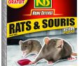 Trou De Rat Dans Le Jardin Unique Grilles Anti Rats Pourquoi Et O¹ Les Poser