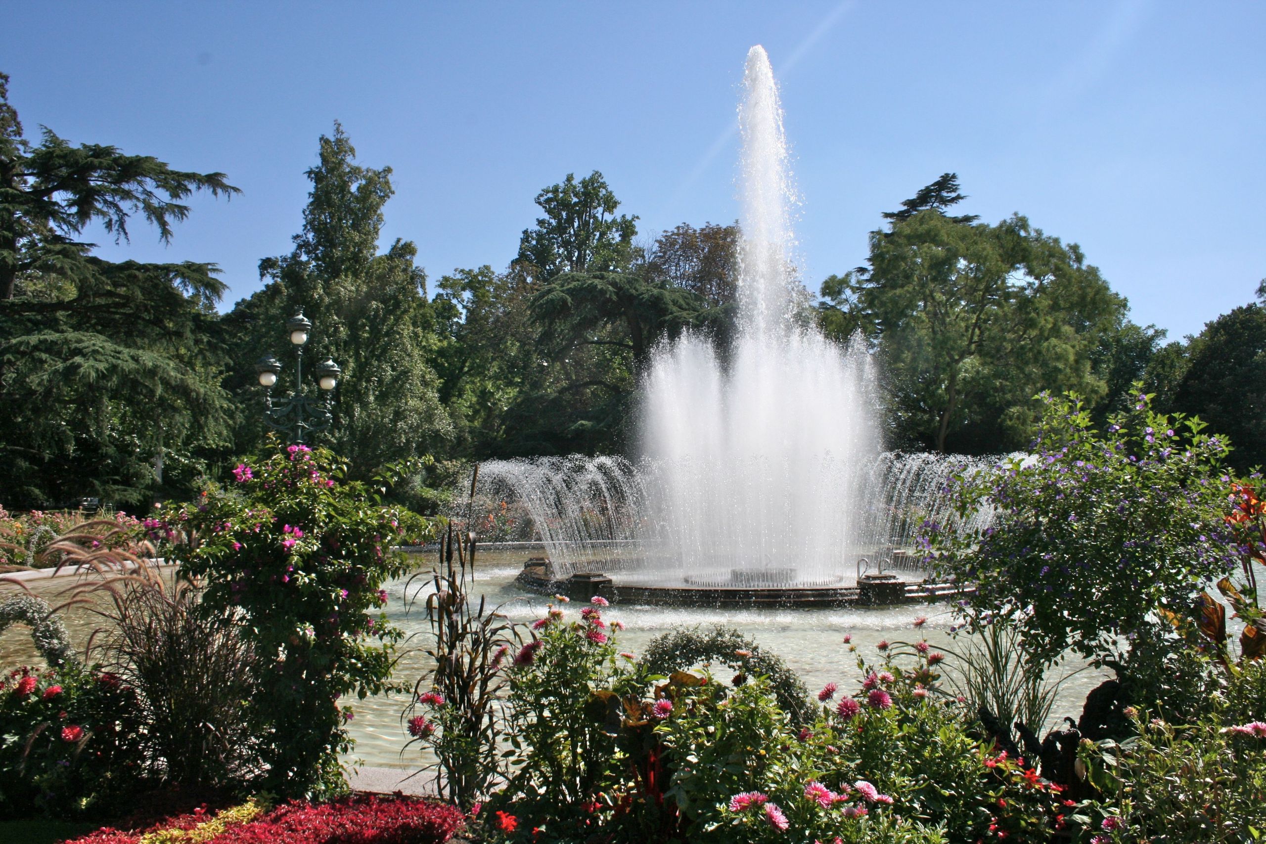 Un Jardin Beau Fountain In "the Jardin Des Plantes" First Botanical Garden