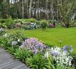 Un Jardin Élégant Un Jardin Breton D Agapanthes Et D Hortensias Bleus