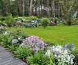 Un Jardin Élégant Un Jardin Breton D Agapanthes Et D Hortensias Bleus