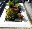 Un Jardin Nouveau Fontaine A Eau Jardin