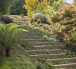 Un Jardin Unique Jardin En Pente Aménagé Avec Un Escalier Extérieur   Marches