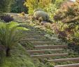 Un Jardin Unique Jardin En Pente Aménagé Avec Un Escalier Extérieur   Marches