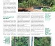 Univers Jardin Génial Un Petit Jardin Concevoir Préparer Et Aménager Les