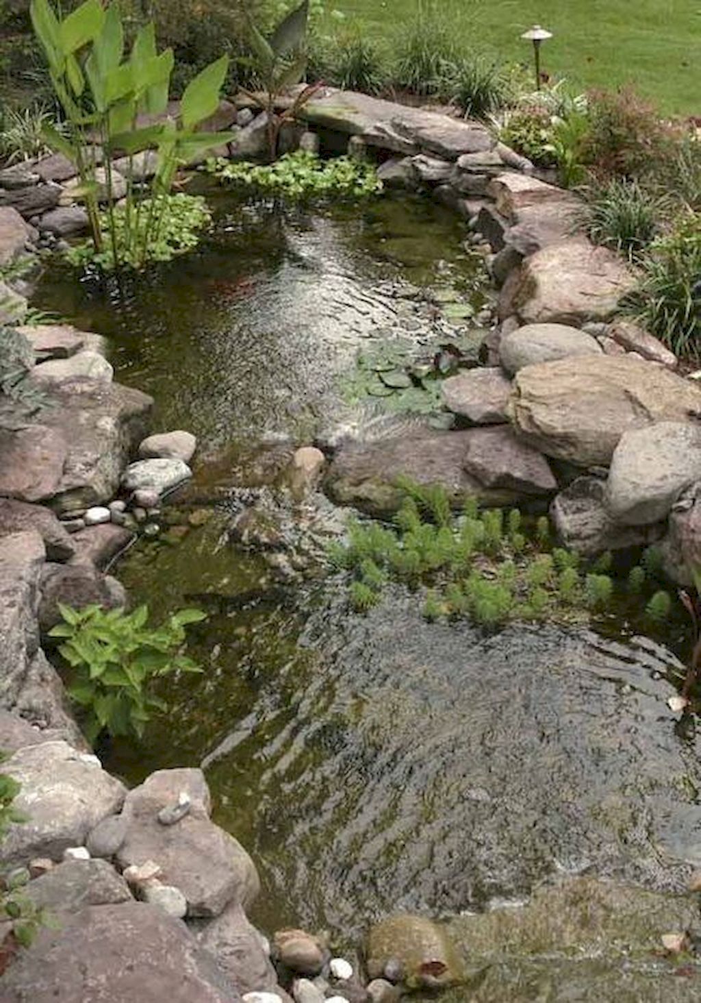 Univers Jardin Inspirant Seasonal Duties for Your Water Backyard Fish Pond