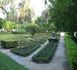 Univers Jardin Unique File Jard­n En El Parque De Mar­a Luisa Jpg Wikimedia Mons