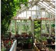 Veranda Jardin Charmant épinglé Par Myrtille Sur Maison Exterieur