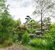 Versaille Jardin Beau Japanese Garden On the island Of Versailles – Nantes