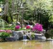 Versaille Jardin Élégant Japanese Garden On the island Of Versailles – Nantes