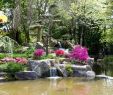 Versaille Jardin Élégant Japanese Garden On the island Of Versailles – Nantes