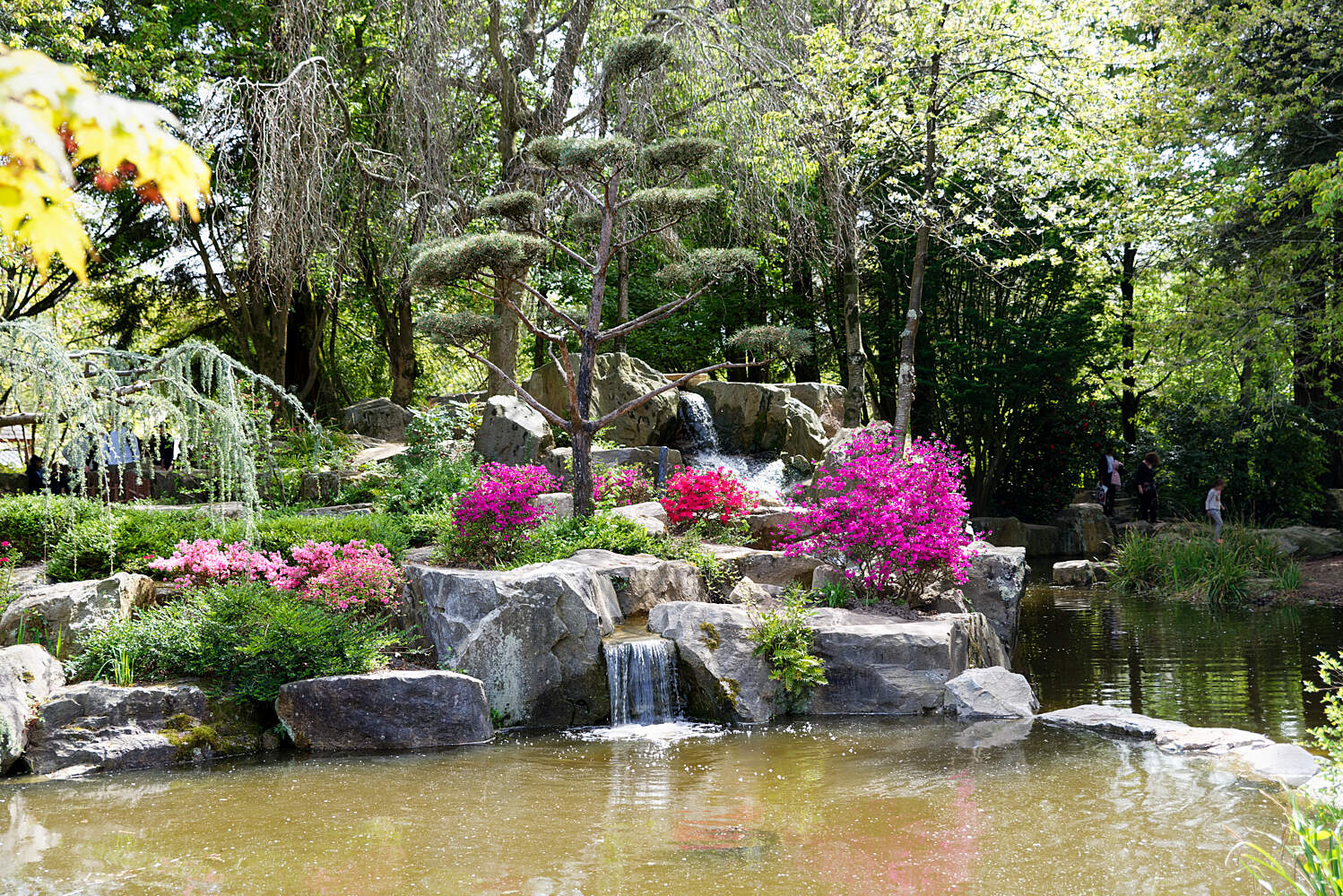 Versaille Jardin Élégant Japanese Garden On the island Of Versailles – Nantes