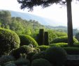 Versaille Jardin Frais the Provence Post Five Gorgeous Provence Gardens to Visit