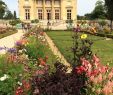 Versaille Jardin Génial An afternoon at the Gardens Of Versailles