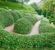 Versaille Jardin Inspirant Jardins D Entretat normandy