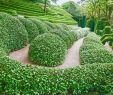 Versaille Jardin Inspirant Jardins D Entretat normandy