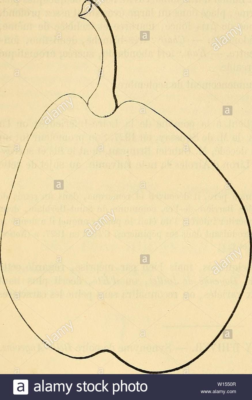 archive image from page 113 of dictionnaire de pomologie contenant dictionnaire de pomologie contenant lhistoire la description la figure des fruits anciens et des fruits modernes les plus gnralement connus et cultivs dictionnairedepo002lero year 1867 106 duc duchesse bor culture vigoureux quoique dun dveloppement tardif ce poirier pousse non moins bien sur cognassier que sur franc et fait de superbes pyramides poire duchesse de bordeaux description du fruit grosseur gnralement au dessus de la moyenne forme irrgulirement ovode surface bossele et pr W1550R