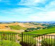 Violation De Domicile Jardin Inspirant Dreamin the Clouds at Daou Winery – Dreampliflyer