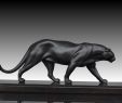 Zoo Du Jardin Des Plantes Beau Art Deco Black Panther