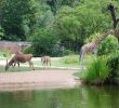 Zoo Du Jardin Des Plantes Charmant Re Mend City to Live Anywhere In France for A Chill Family