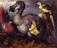 Zoo Du Jardin Des Plantes Inspirant List Of Recently Extinct Bird Species