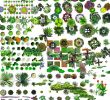 Zoo Du Jardin Des Plantes Unique Shop] Trees Psd On Transparent Layers