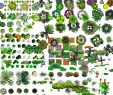 Zoo Du Jardin Des Plantes Unique Shop] Trees Psd On Transparent Layers
