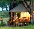 Tente Abri De Jardin Inspirant Duba Expedition Camp Okavango Delta Botswana