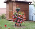 Abri De Jardin Permis De Construire Best Of Bien Choisir son Abri De Jardin Les R¨gles   Suivre… Rustyle