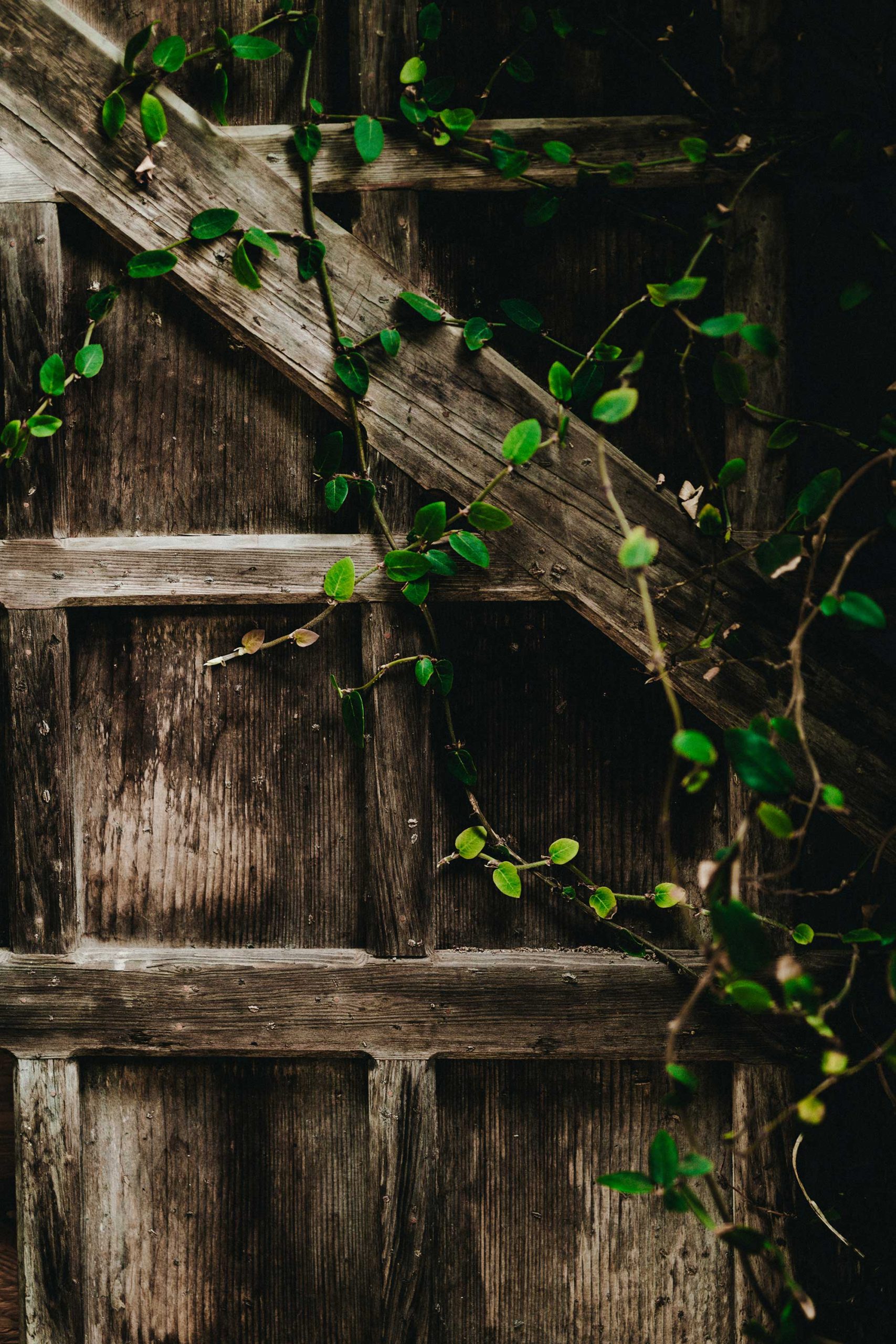 Abri De Jardin Permis De Construire Luxe Ment Construire son Abri De Jardin • Actualités Décoration Bricolage & Jardinage