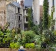 Coté Jardin Nantes Best Of Le Voyage   Nantes Du 6 Juillet Au 1er Septembre 2019 Oui