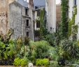 Coté Jardin Nantes Best Of Le Voyage   Nantes Du 6 Juillet Au 1er Septembre 2019 Oui