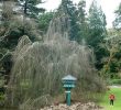 Coté Jardin Nantes Élégant Le Jardin Des Plantes De Nantes