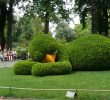 Coté Jardin Nantes Luxe Nantes France Le Poussin Du Jardin Des Plantes C´té Gare