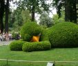 Coté Jardin Nantes Luxe Nantes France Le Poussin Du Jardin Des Plantes C´té Gare