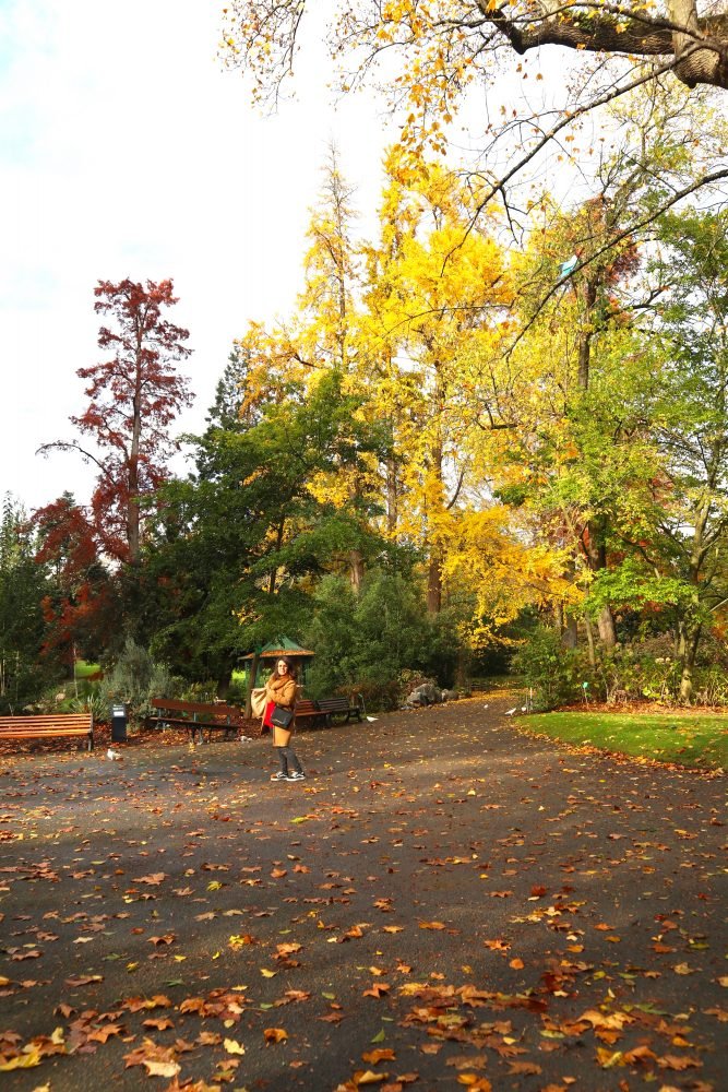 Coté Jardin Nantes Unique top 5 Des Choses   Faire   Nantes