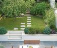 Entre Cours Et Jardin Best Of Petit Jardin Moderne Visite D Oasis En 55 Photos