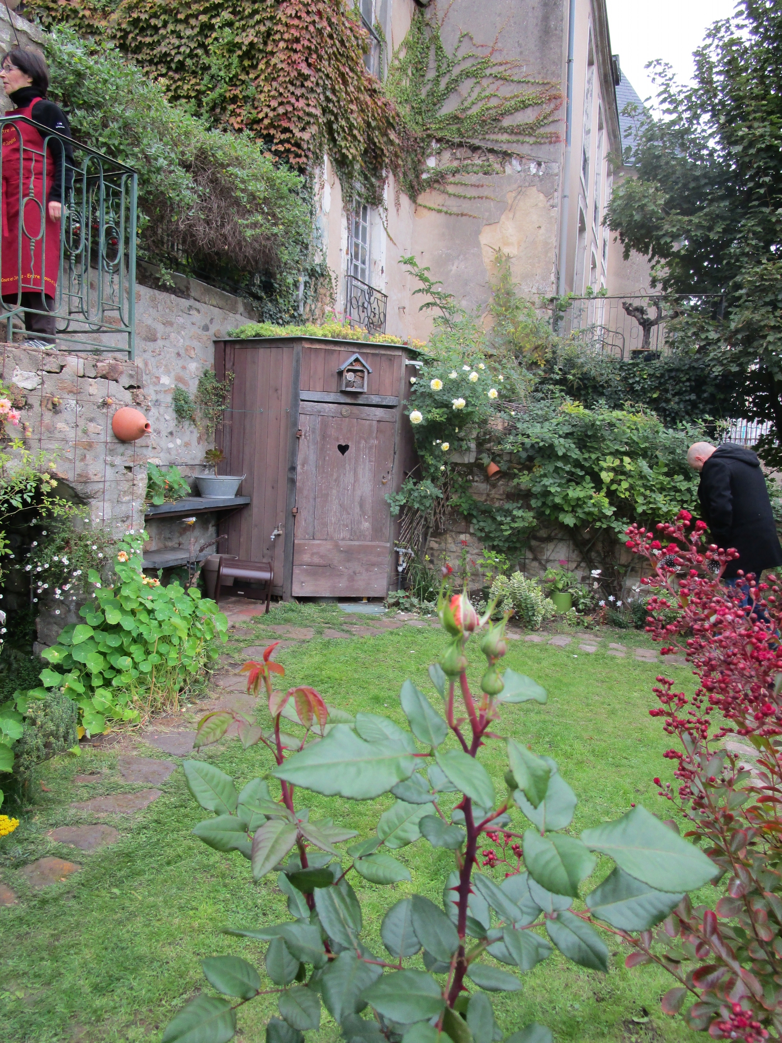 Entre Cours Et Jardin Frais Entre Cours Et Jardins 2015 Le Mans Jardin De Particulier