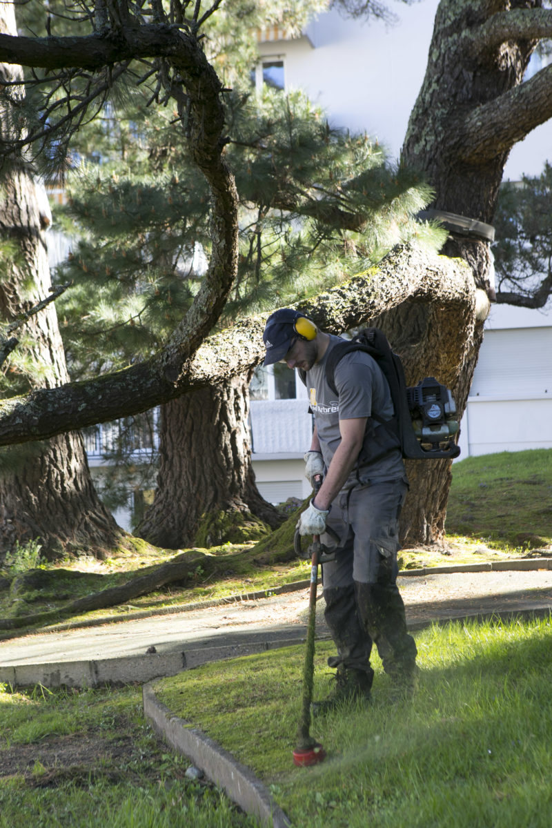 Entretien Parc Et Jardin Beau Au Fil Des Arbres Propose Aussi L Entretien Des Parcs Et Jardins